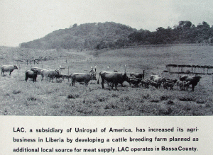 Liberia Agriculture Company LAC