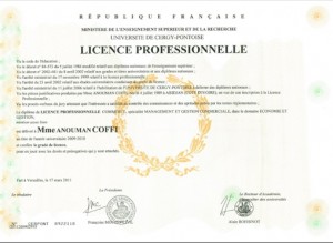 Professional Bachelor’s Degree Diploma