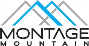 montage mountain