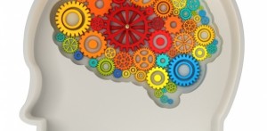 iStock_000017945529Medium_610_300_s_c1_center_center