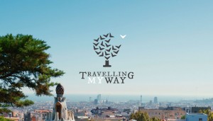 Travel3