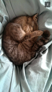 luna