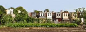 Urban Farm