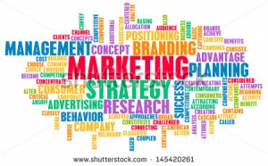 stock-photo-marketing-strategy-and-core-objectives-of-product-145420261